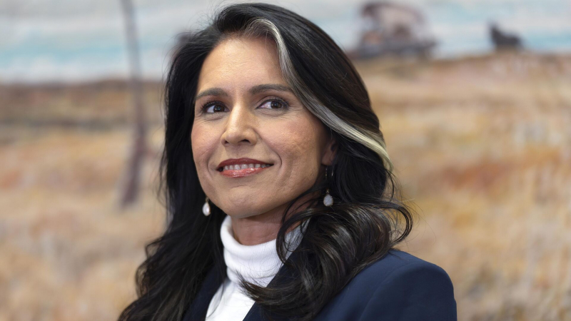 Габбард использовала один и тот же слабый пароль годами, пишет WIRED