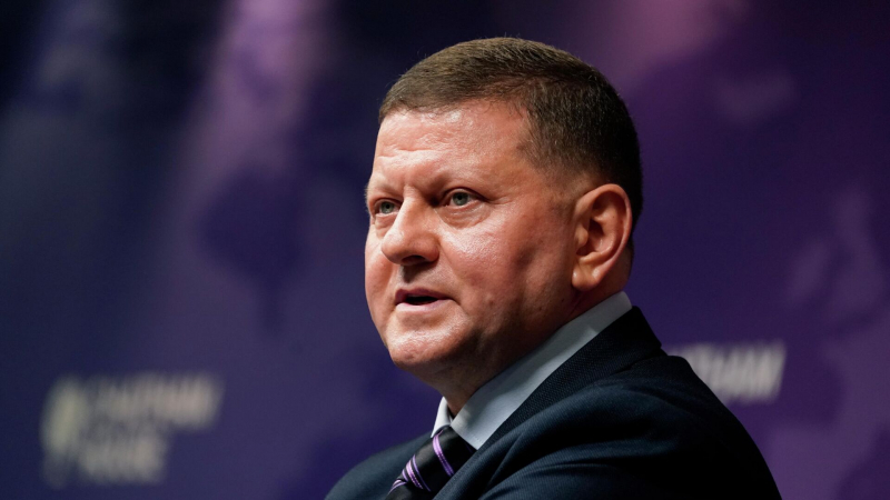 Киев не может отвергать прекращение конфликта, заявил Залужный