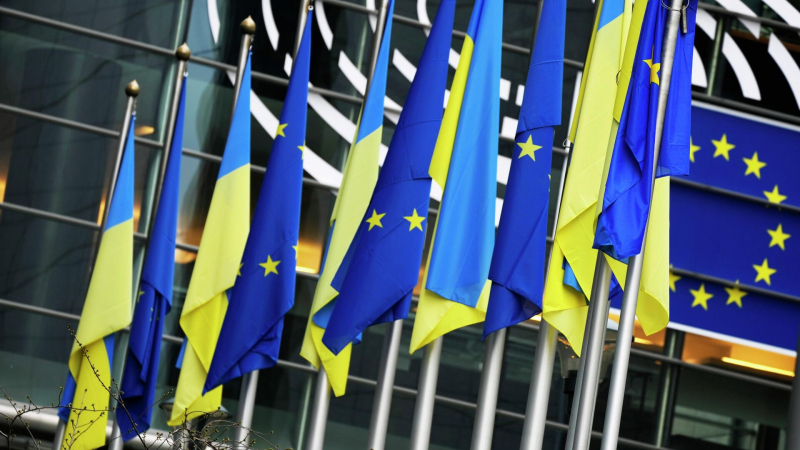 Историк оценила возможность вступления Украины в ЕС и НАТО
