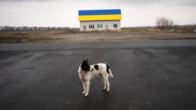 "Куда он делся?": в Киеве заявили о пропаже лучшего "друга" Украины